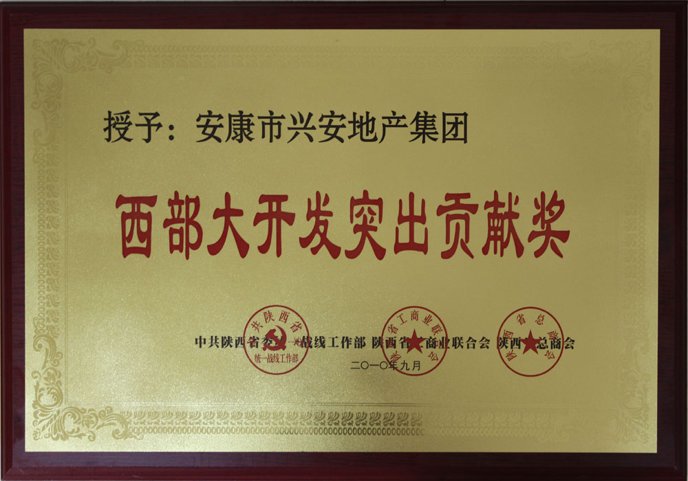 西部大開發(fā)突出貢獻(xiàn)獎